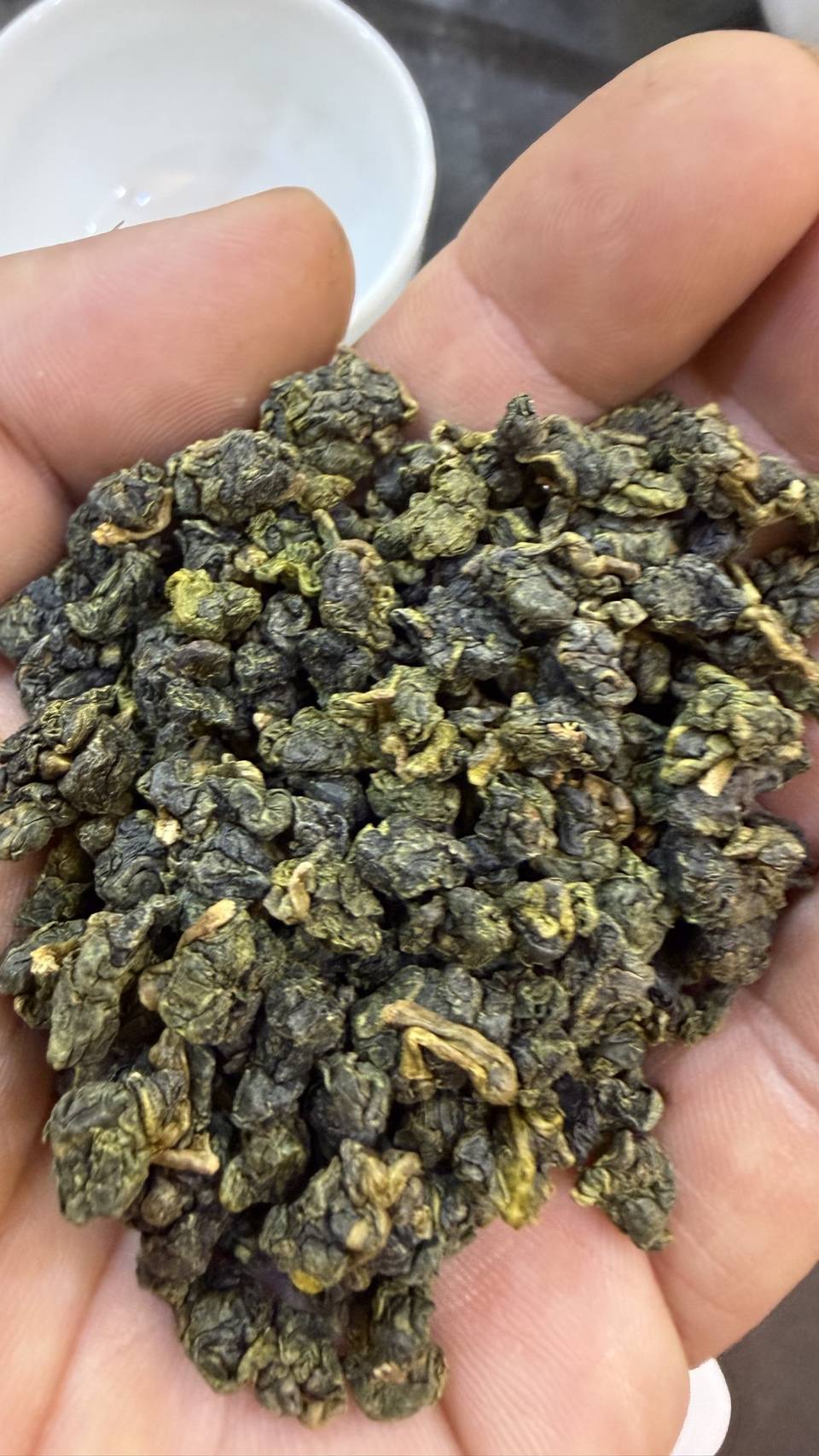 福壽山冬茶|一斤600g