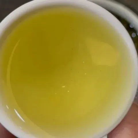 梨山翠巒春茶|一斤600g