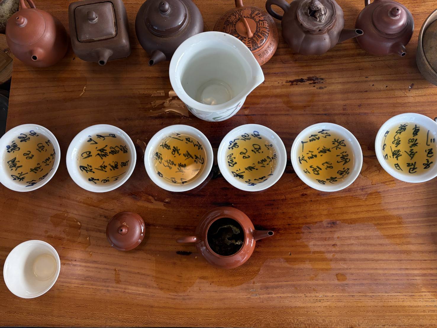 鹿谷鄉農會比賽茶