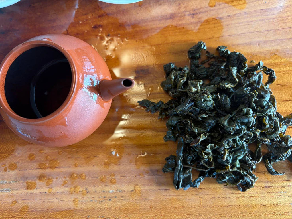 鹿谷鄉農會比賽茶