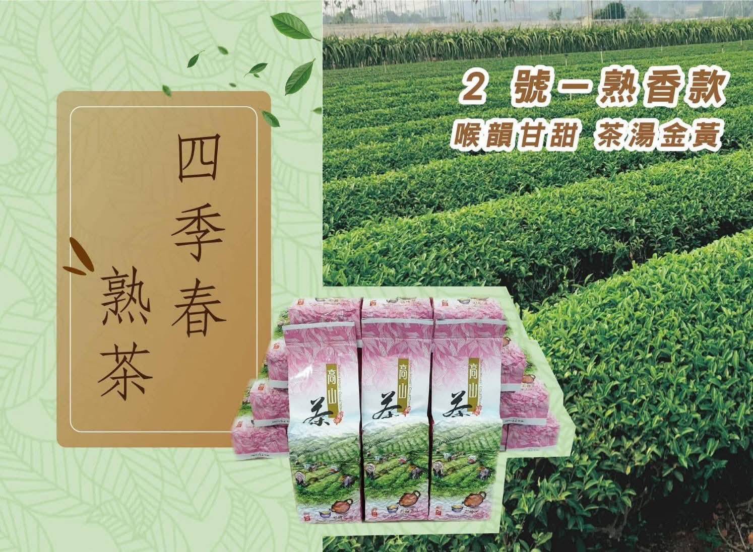 南投名間 四季春茶