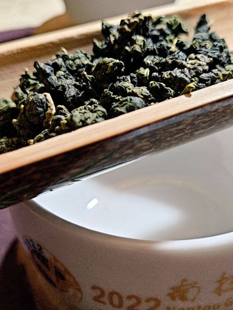 梨山春茶