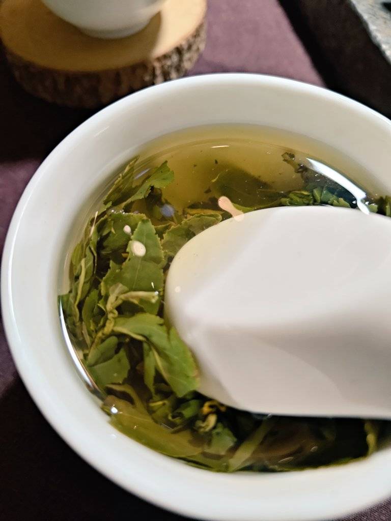 梨山春茶