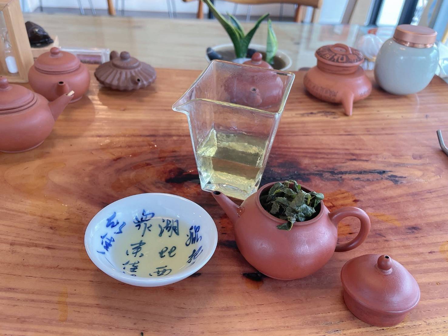 杉林溪春茶