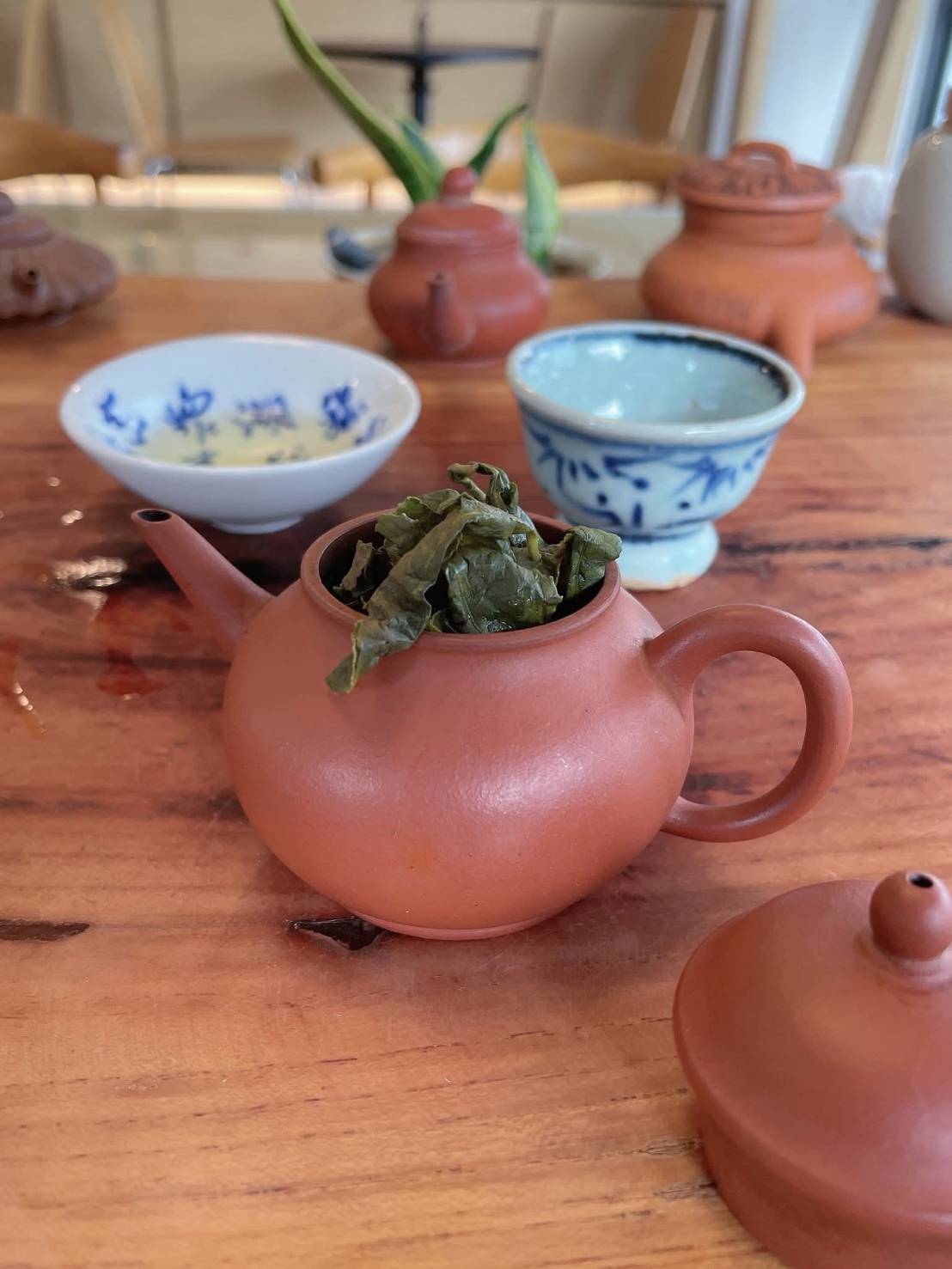 杉林溪春茶