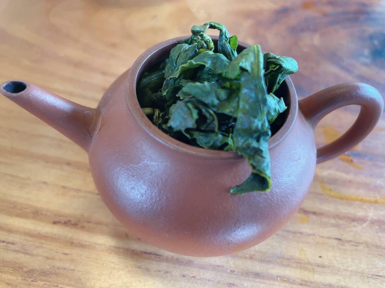 杉林溪春茶