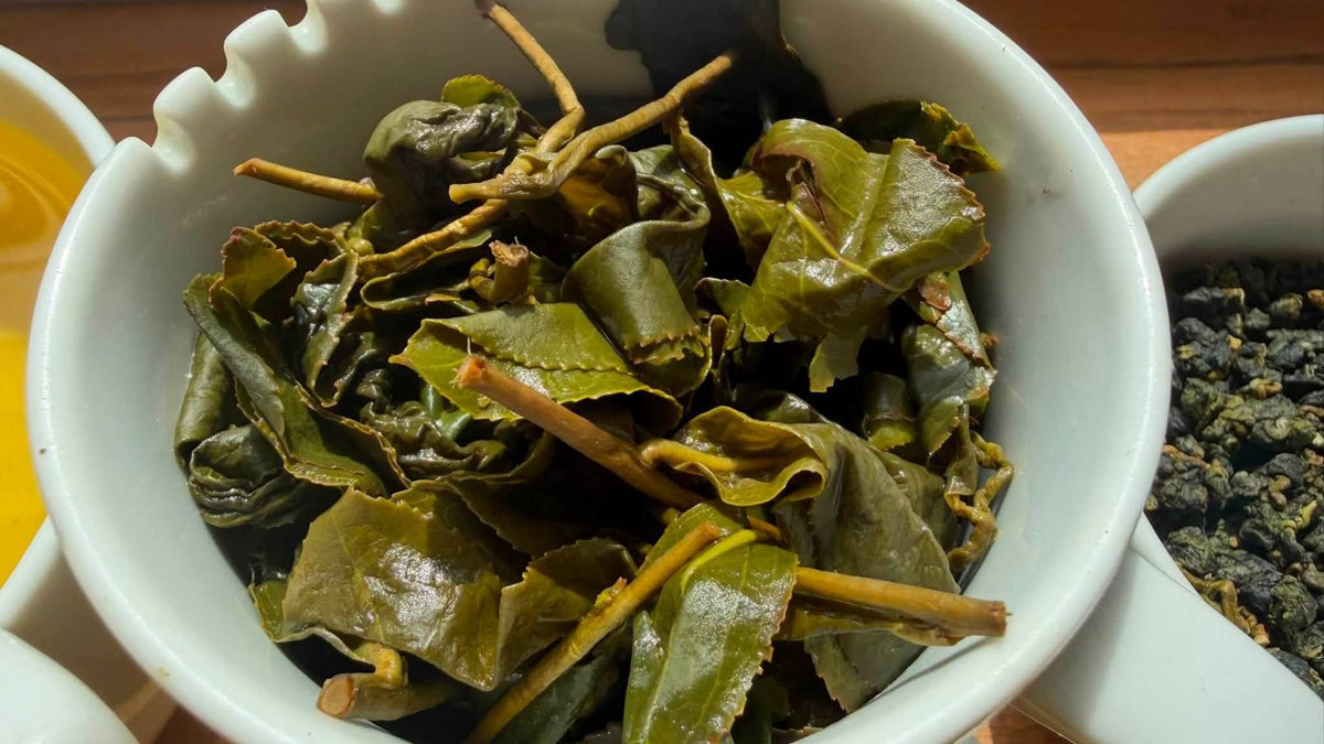 大禹嶺高山茶