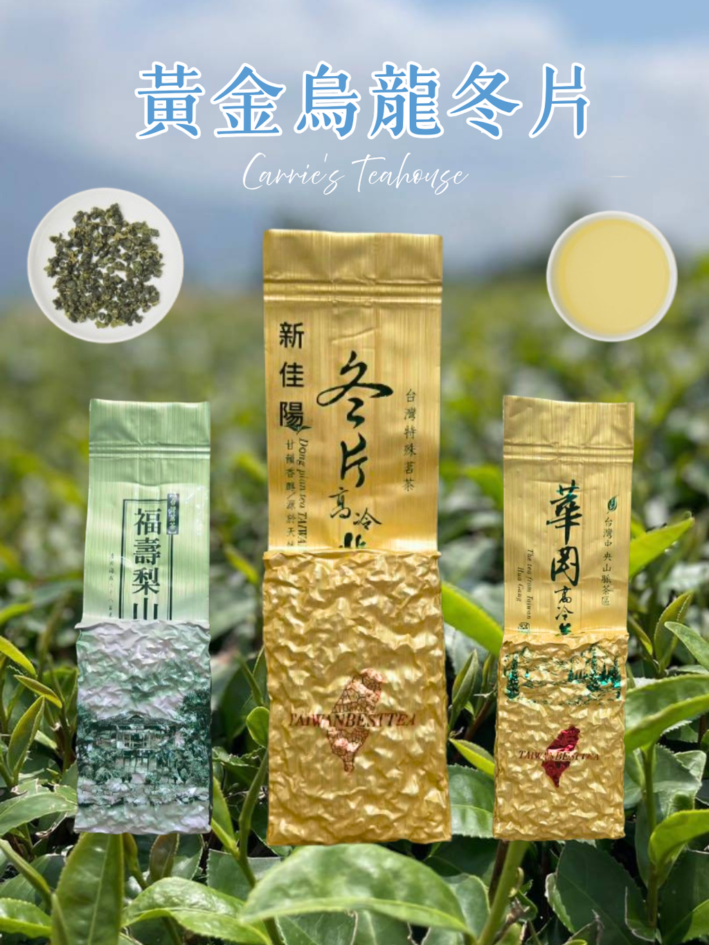 黃金烏龍冬片茶