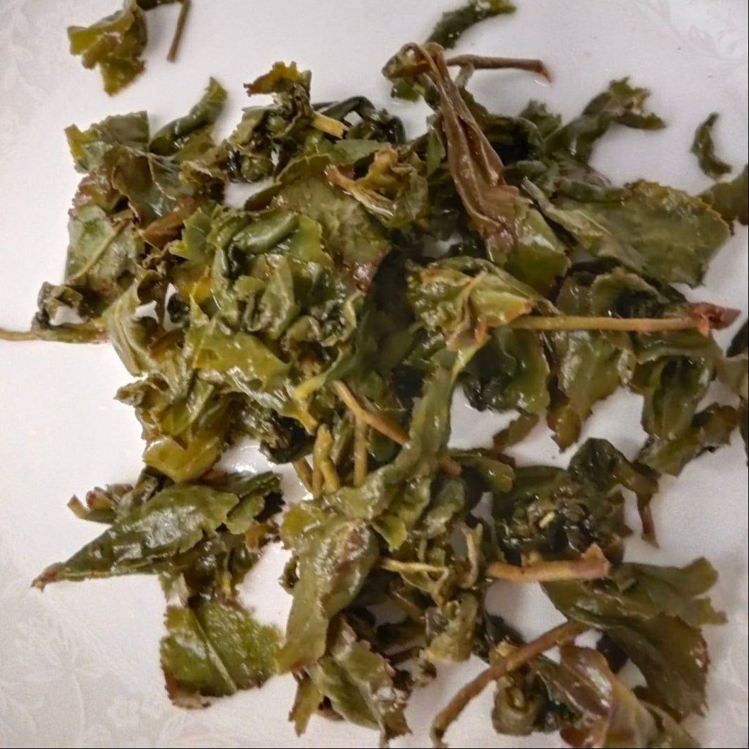梨山松崗春茶｜一斤600g
