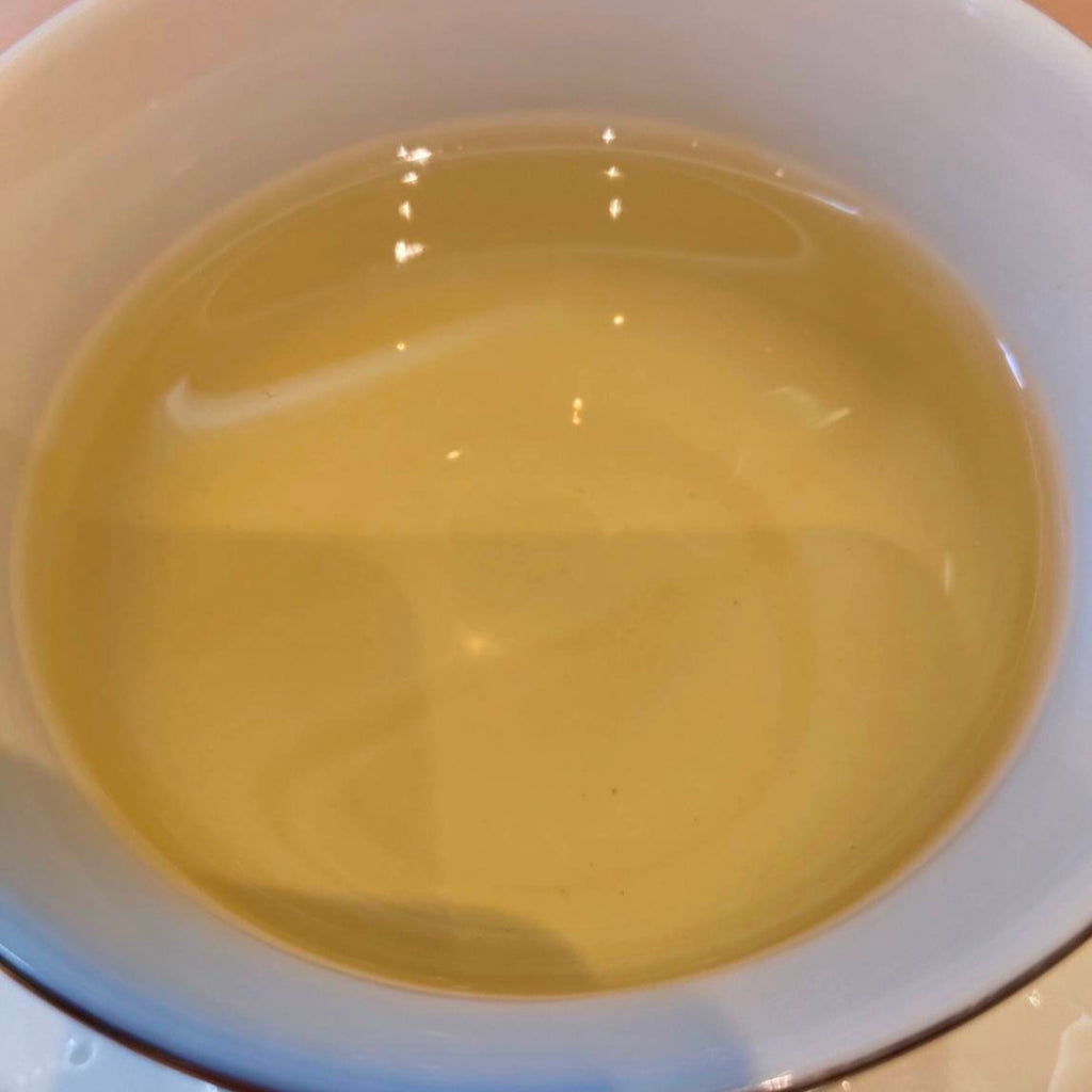 梨山松崗春茶｜一斤600g
