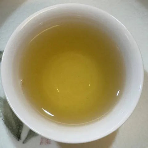 清香梨山茶｜一斤600g