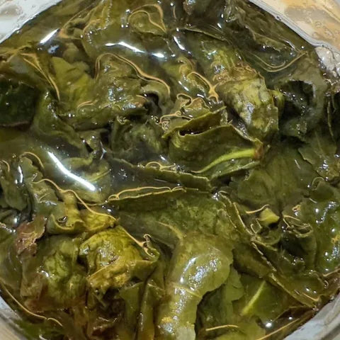 清香梨山茶｜一斤600g