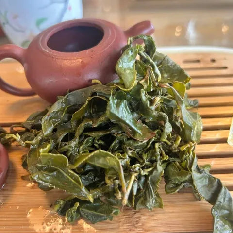阿里山金萱茶｜一斤600g