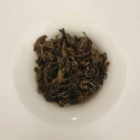 東方美人茶｜一斤600g