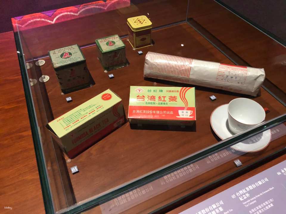 台北永康街｜台灣茶品茶．泡茶體驗｜中英日服務